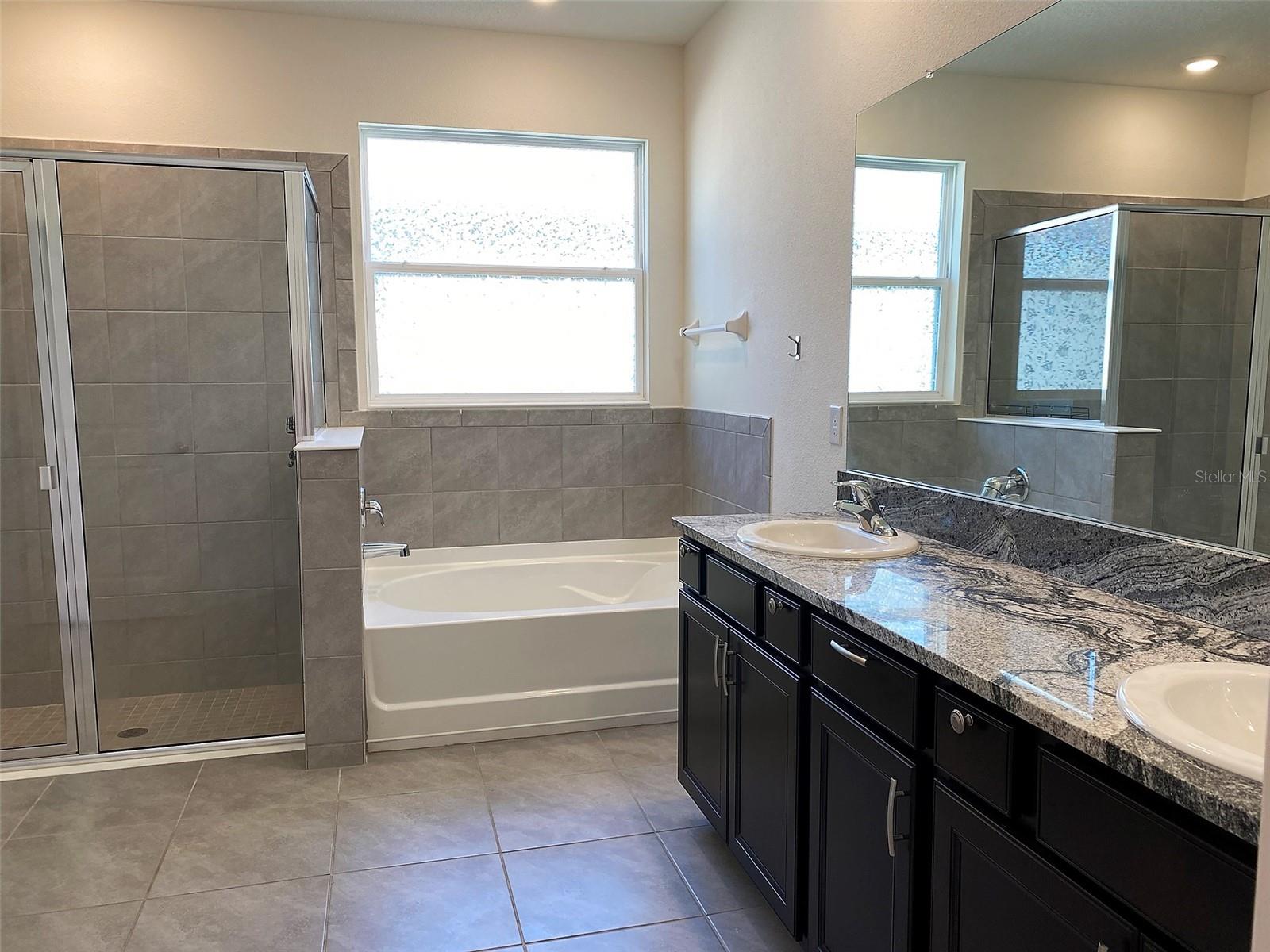13393 GOLDEN LIME AVE, SPRING HILL, FL, 34609