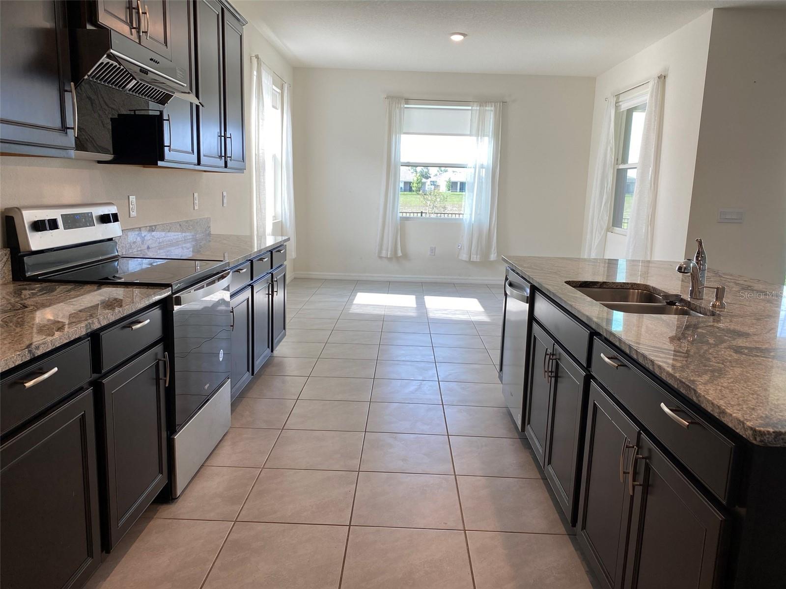 13393 GOLDEN LIME AVE, SPRING HILL, FL, 34609