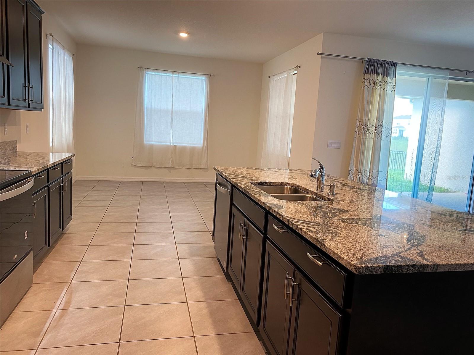 13393 GOLDEN LIME AVE, SPRING HILL, FL, 34609