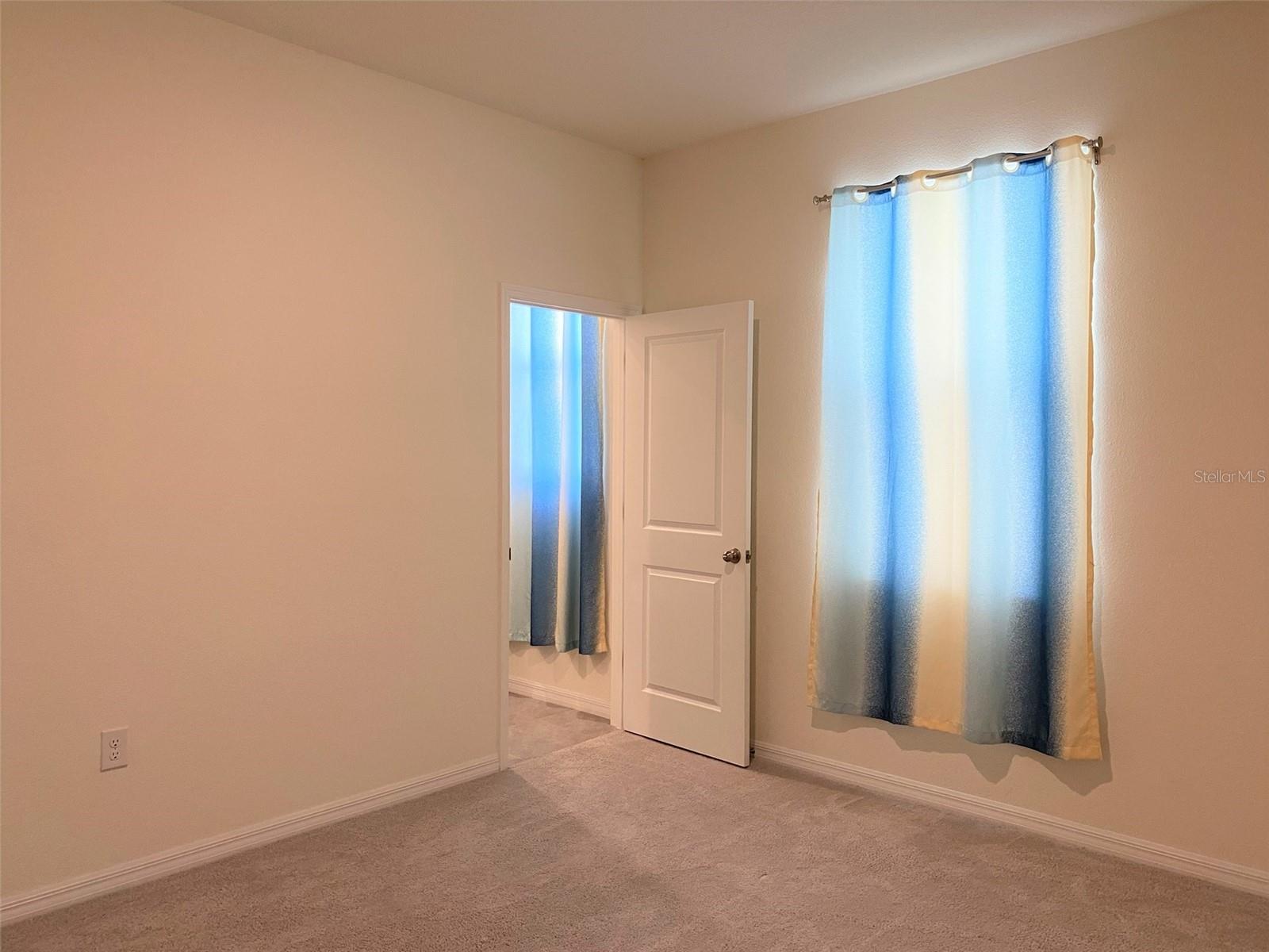 13393 GOLDEN LIME AVE, SPRING HILL, FL, 34609