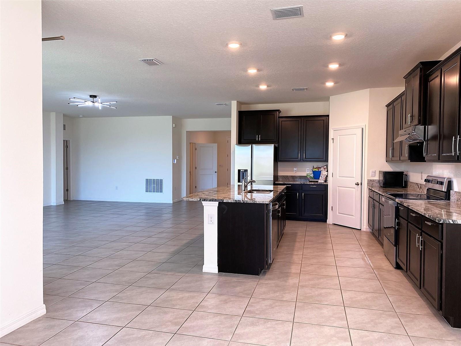 13393 GOLDEN LIME AVE, SPRING HILL, FL, 34609