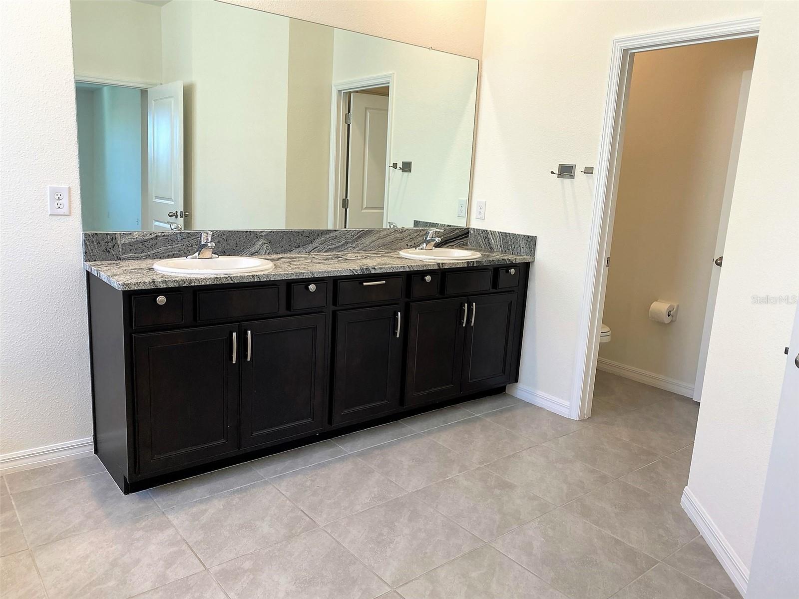 13393 GOLDEN LIME AVE, SPRING HILL, FL, 34609