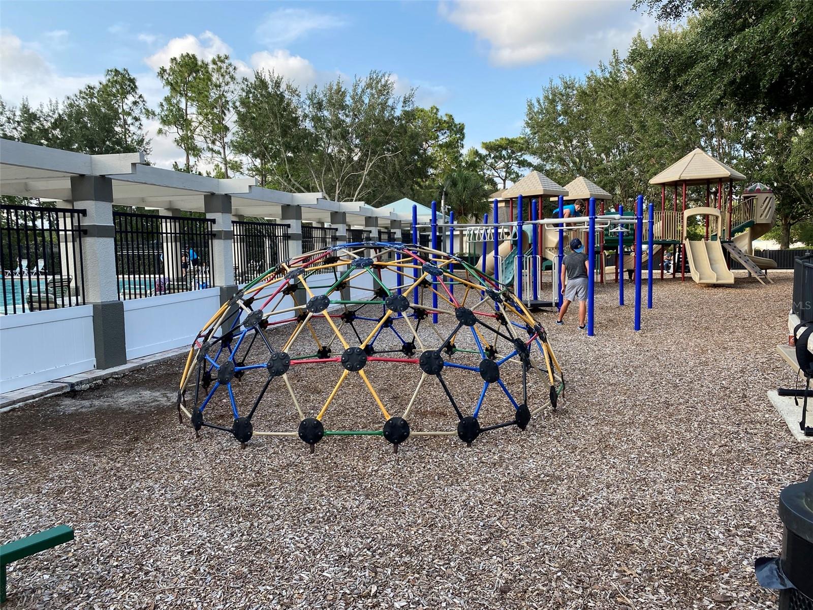 13393 GOLDEN LIME AVE, SPRING HILL, FL, 34609