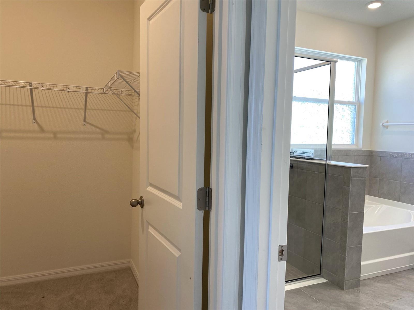 13393 GOLDEN LIME AVE, SPRING HILL, FL, 34609