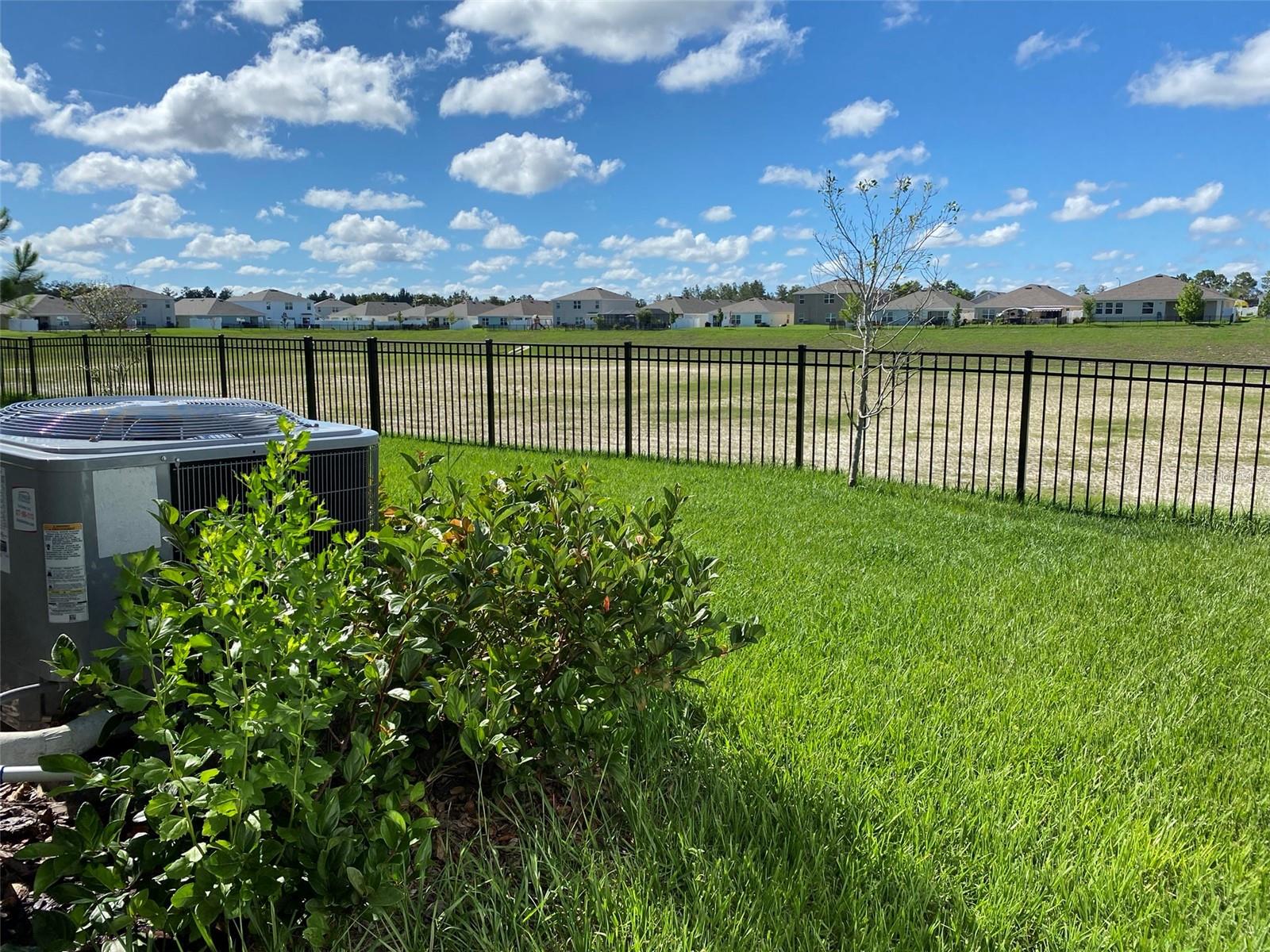 13393 GOLDEN LIME AVE, SPRING HILL, FL, 34609