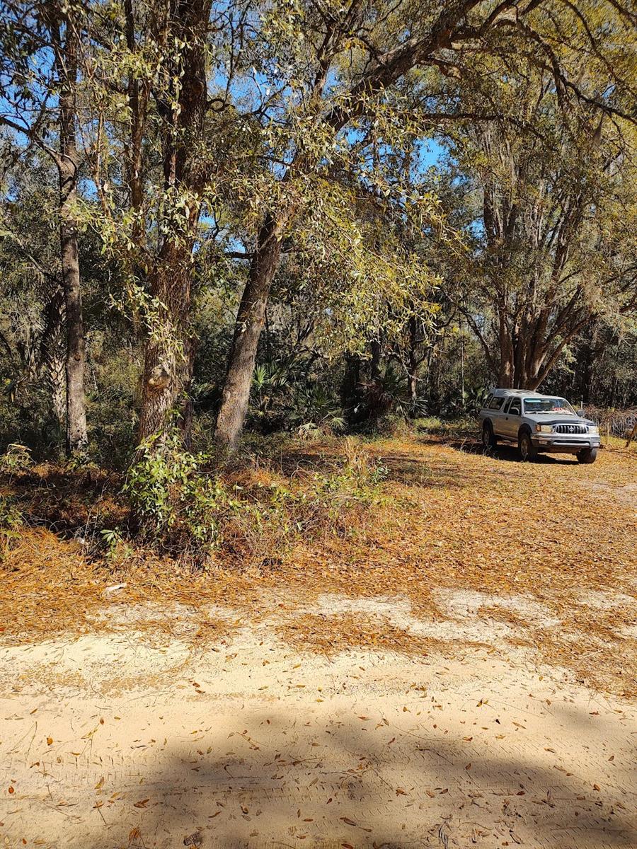 16387 NE 138TH AVE, FORT MC COY, FL, 32134