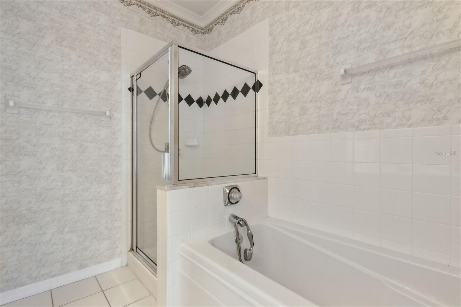 520 LONGMEADOW ST, CELEBRATION, FL, 34747