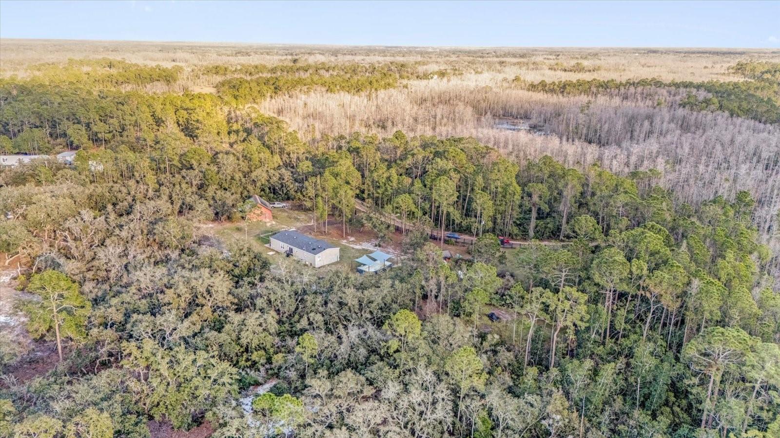 11811 KIJIK TRL, GROVELAND, FL, 34736