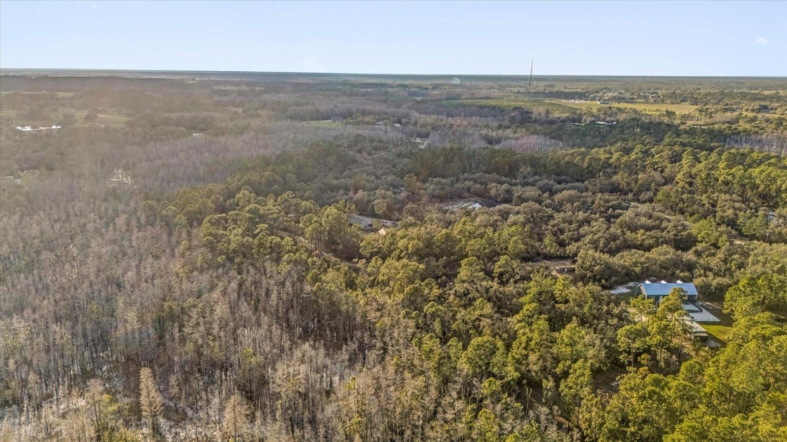 11811 KIJIK TRL, GROVELAND, FL, 34736