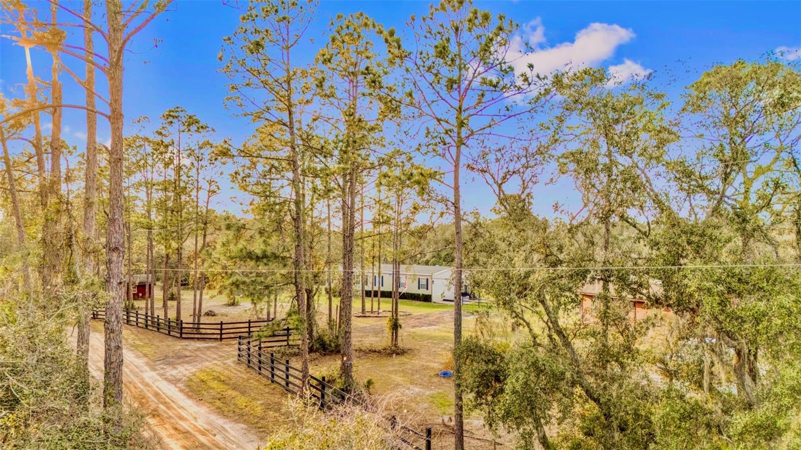 11811 KIJIK TRL, GROVELAND, FL, 34736