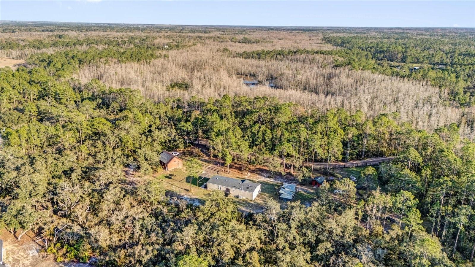 11811 KIJIK TRL, GROVELAND, FL, 34736