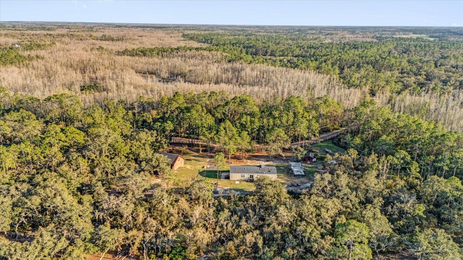 11811 KIJIK TRL, GROVELAND, FL, 34736