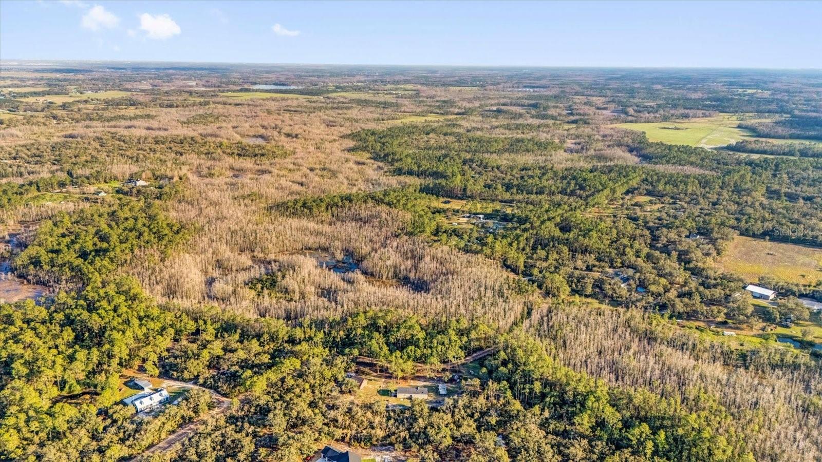 11811 KIJIK TRL, GROVELAND, FL, 34736