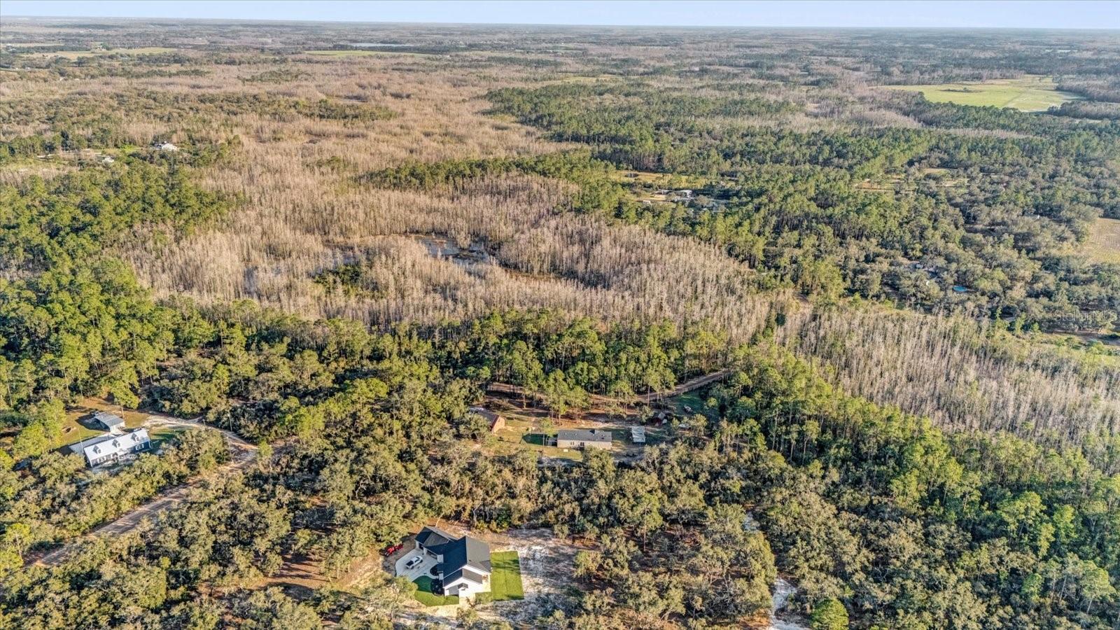 11811 KIJIK TRL, GROVELAND, FL, 34736