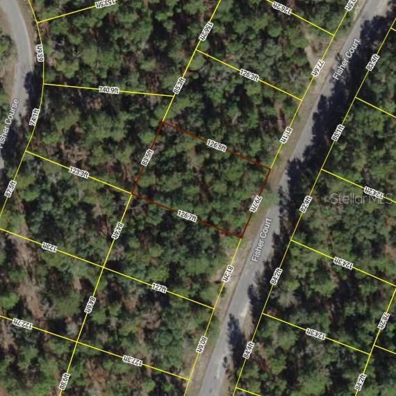 LOT 13 FISHER CT, OCKLAWAHA, FL, 32179