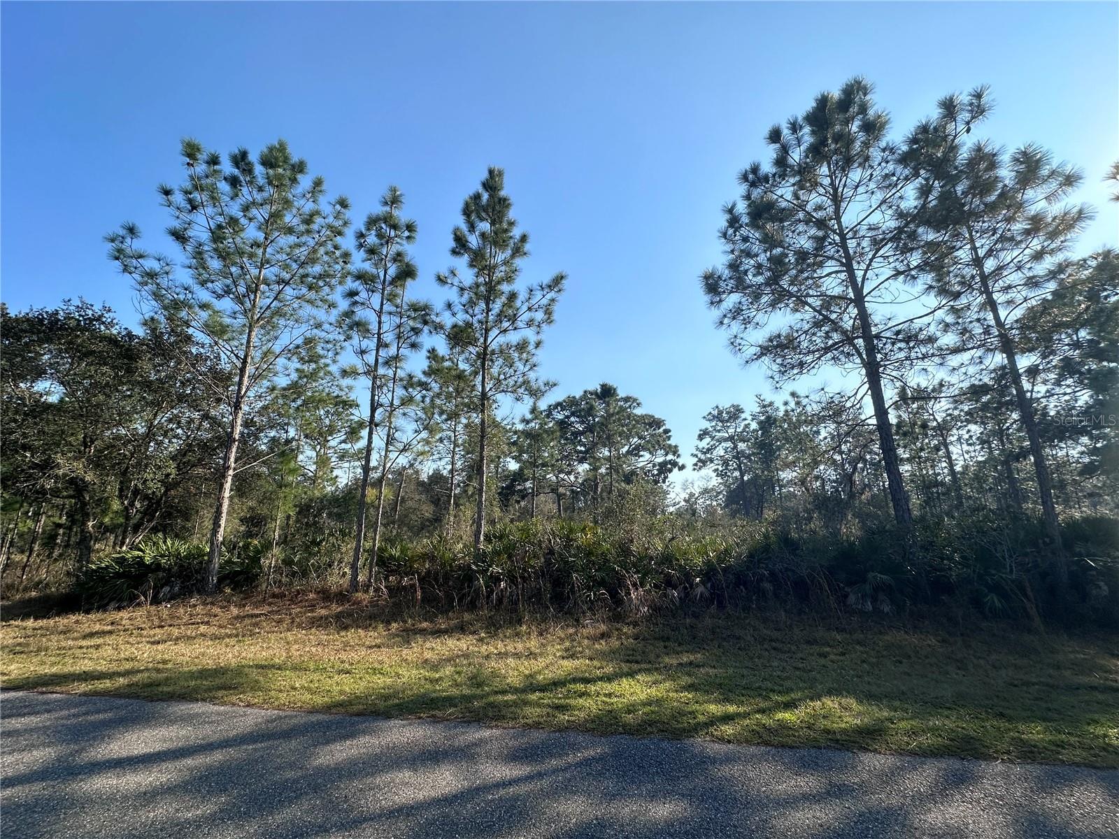 0 ALLAMANDA LOT 11 DR, INDIAN LAKE ESTATES, FL, 33855