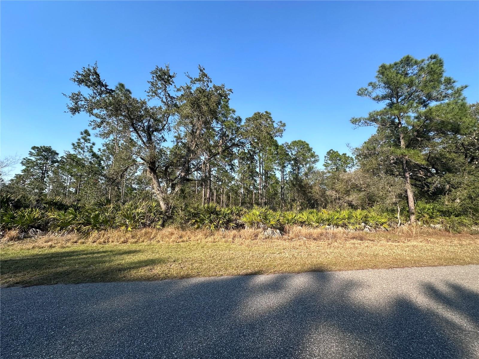 0 ALLAMANDA LOT 11 DR, INDIAN LAKE ESTATES, FL, 33855