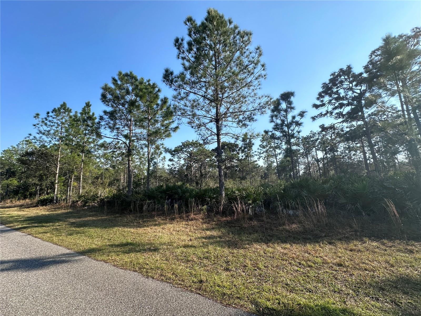 0 ALLAMANDA LOT 11 DR, INDIAN LAKE ESTATES, FL, 33855