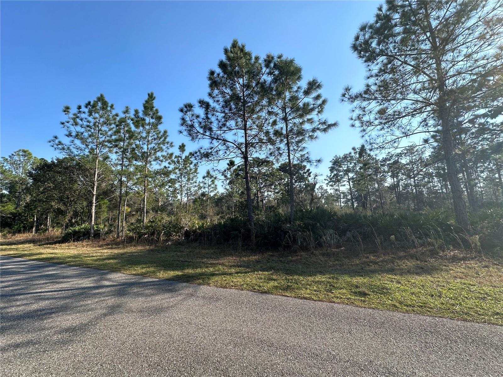 0 ALLAMANDA LOT 11 DR, INDIAN LAKE ESTATES, FL, 33855