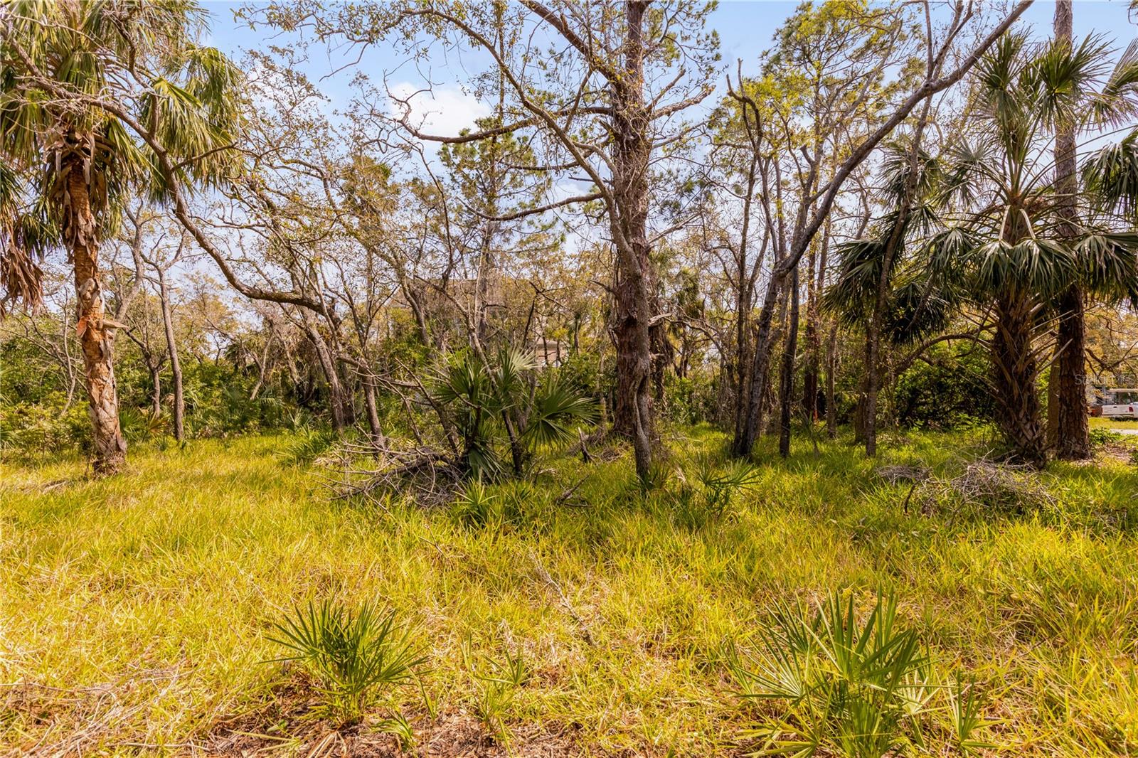 PHOENIX AVE, OLDSMAR, FL, 34677