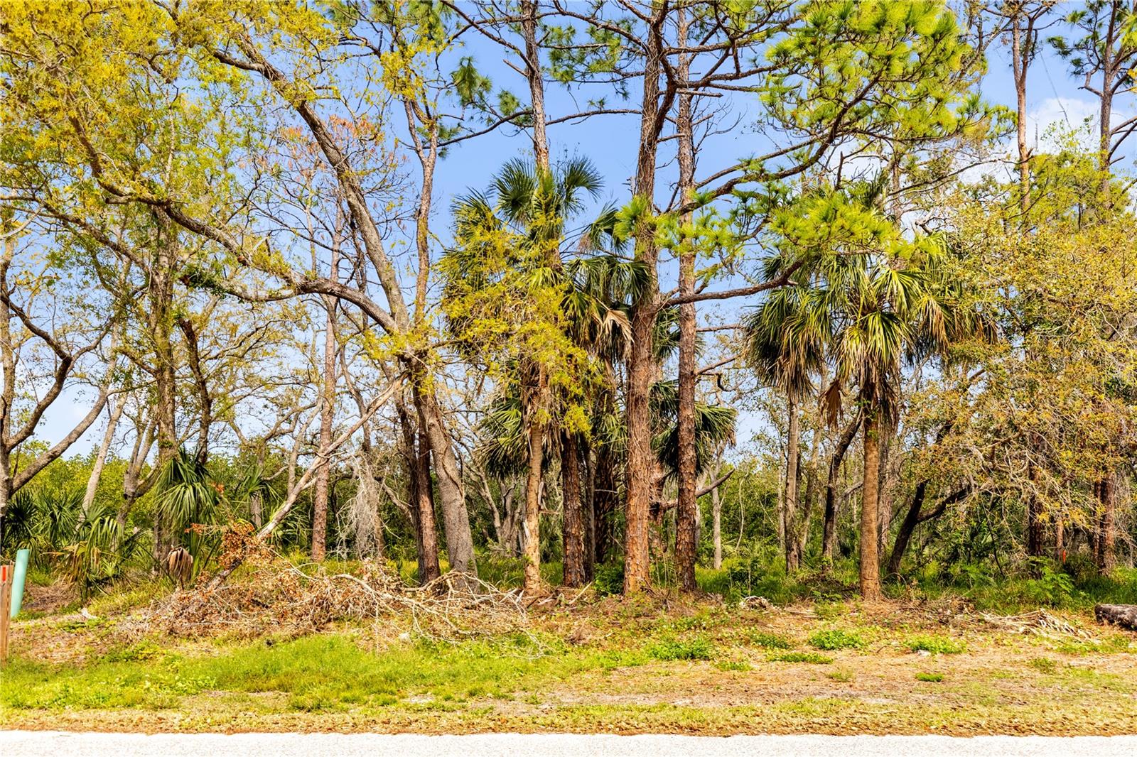 PHOENIX AVE, OLDSMAR, FL, 34677