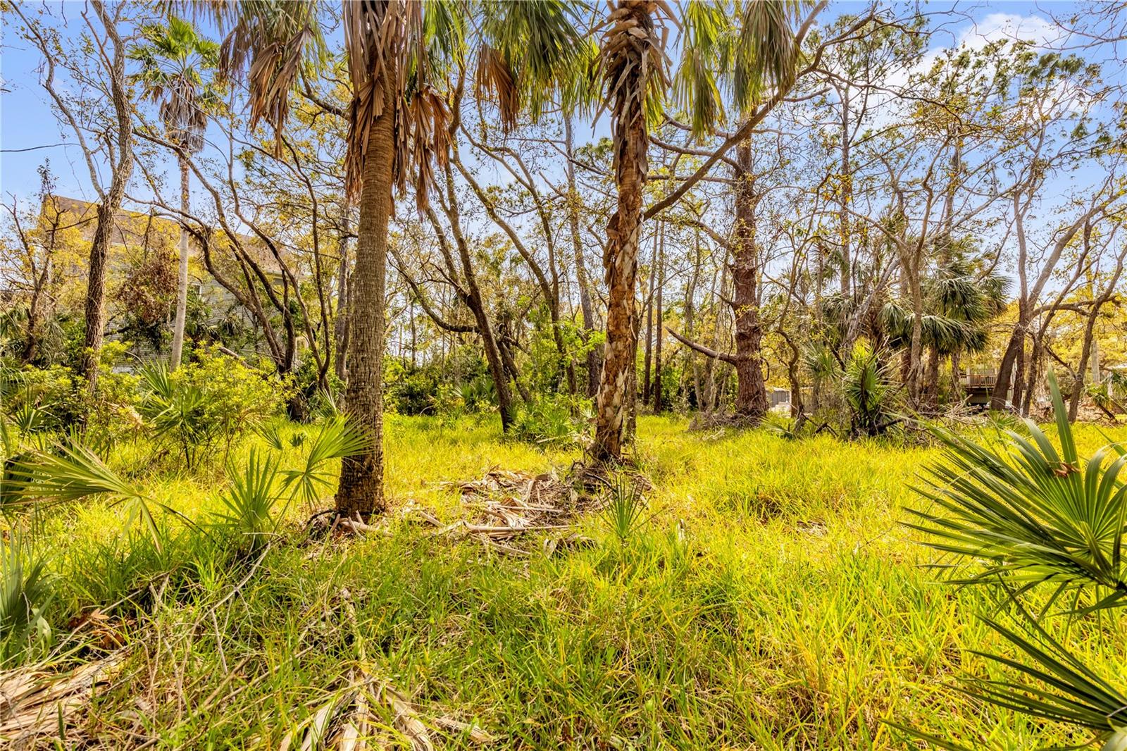PHOENIX AVE, OLDSMAR, FL, 34677