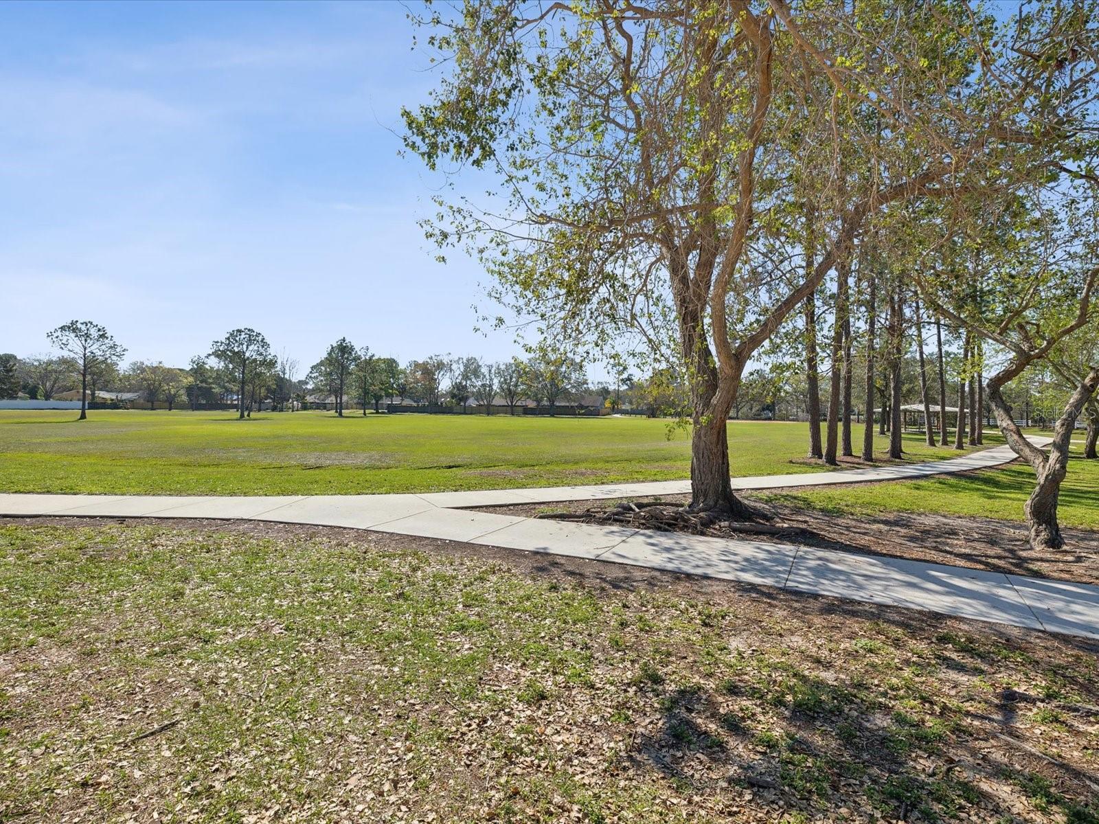 15801 BRIDGEWATER LN, TAMPA, FL, 33624
