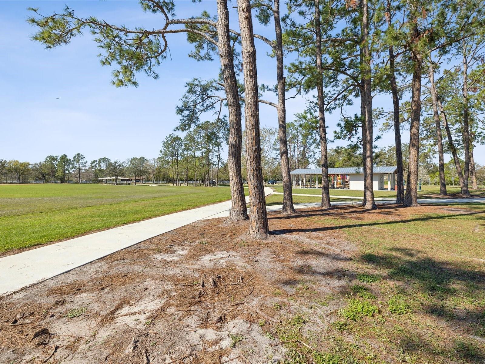 15801 BRIDGEWATER LN, TAMPA, FL, 33624