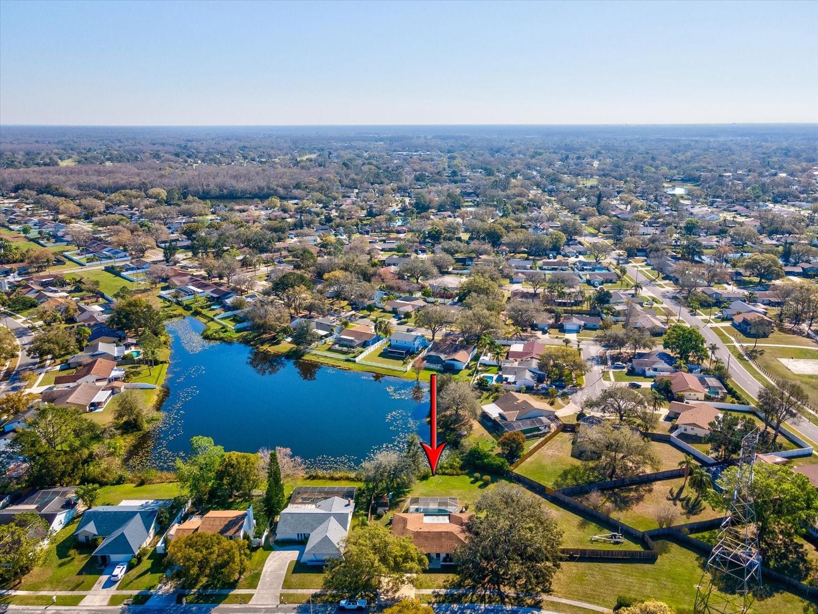 15801 BRIDGEWATER LN, TAMPA, FL, 33624