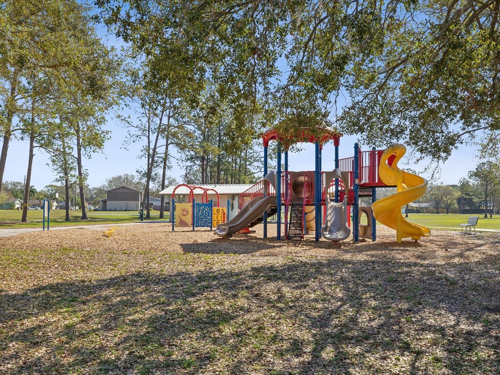 15801 BRIDGEWATER LN, TAMPA, FL, 33624