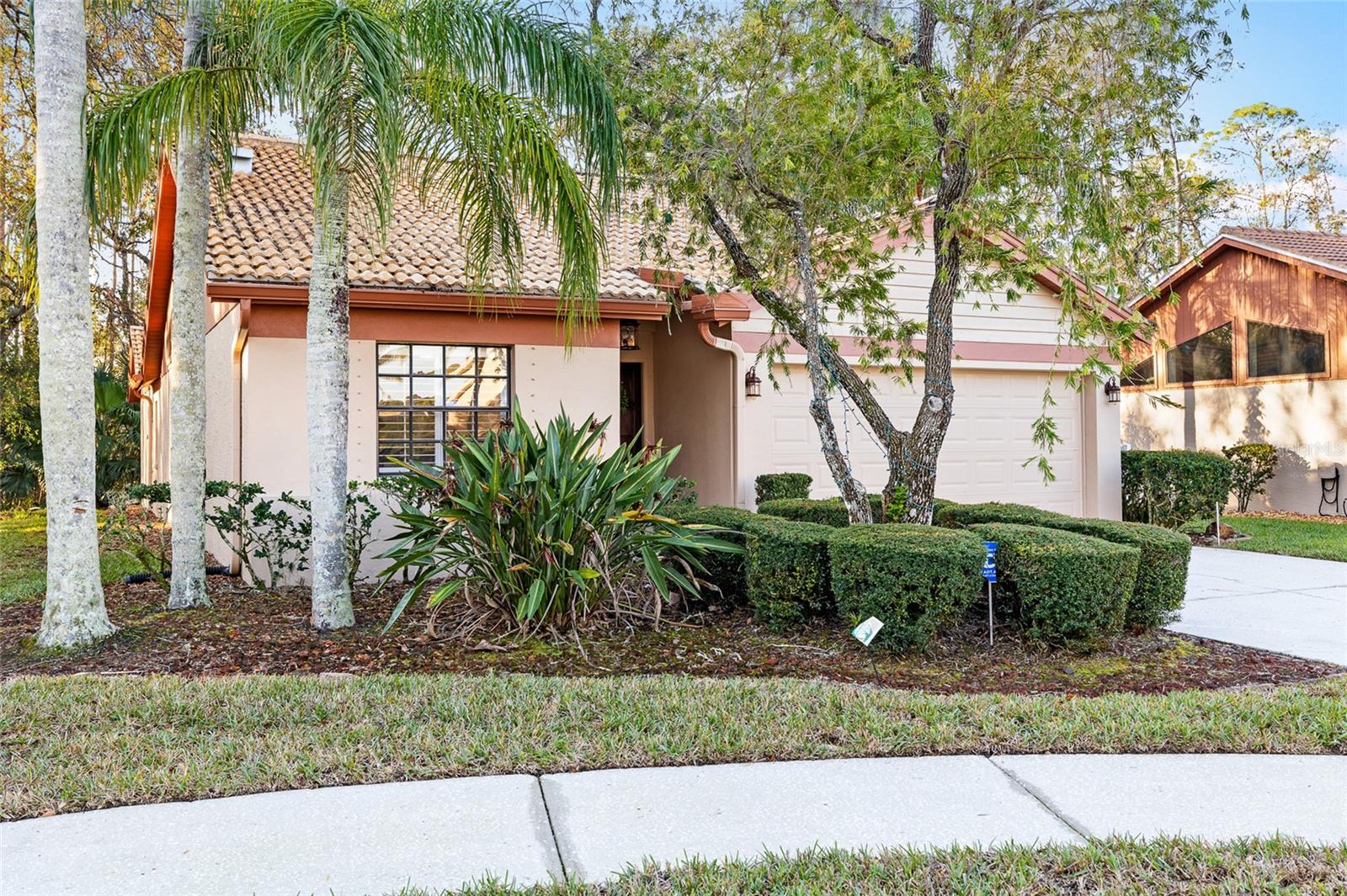 3612 DARSTON ST, PALM HARBOR, FL, 34685