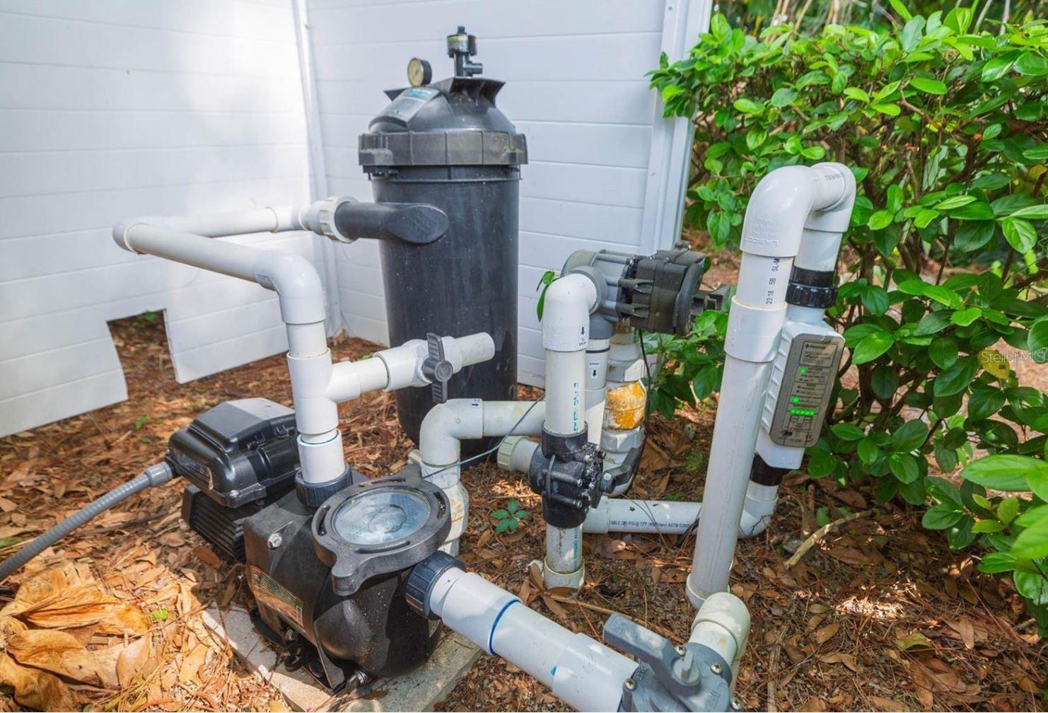 3612 DARSTON ST, PALM HARBOR, FL, 34685