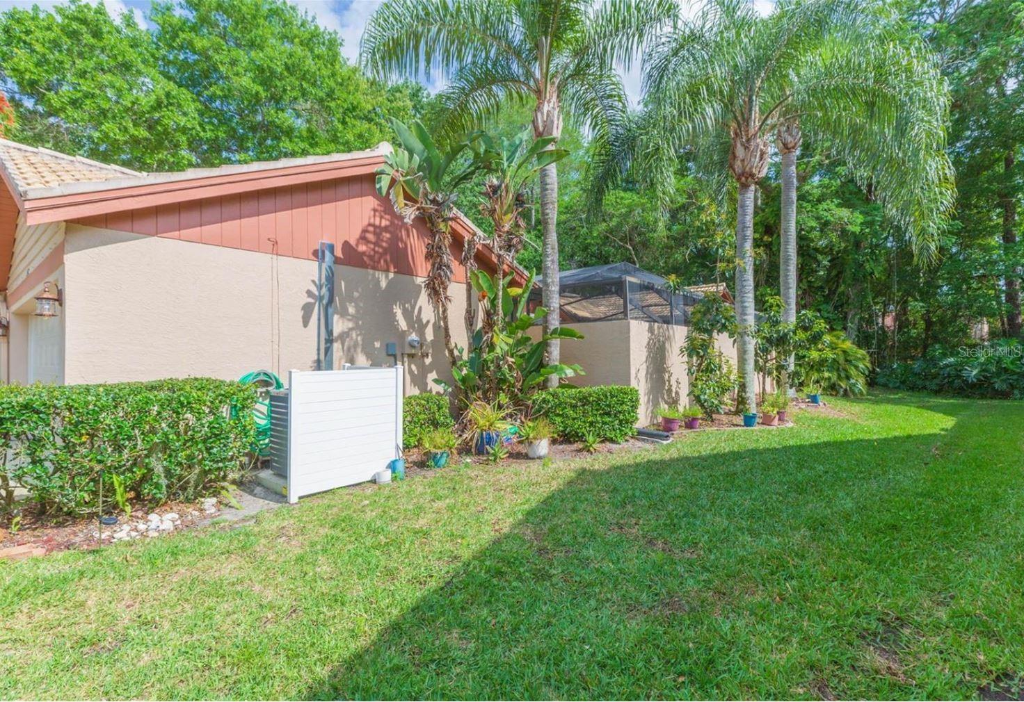 3612 DARSTON ST, PALM HARBOR, FL, 34685