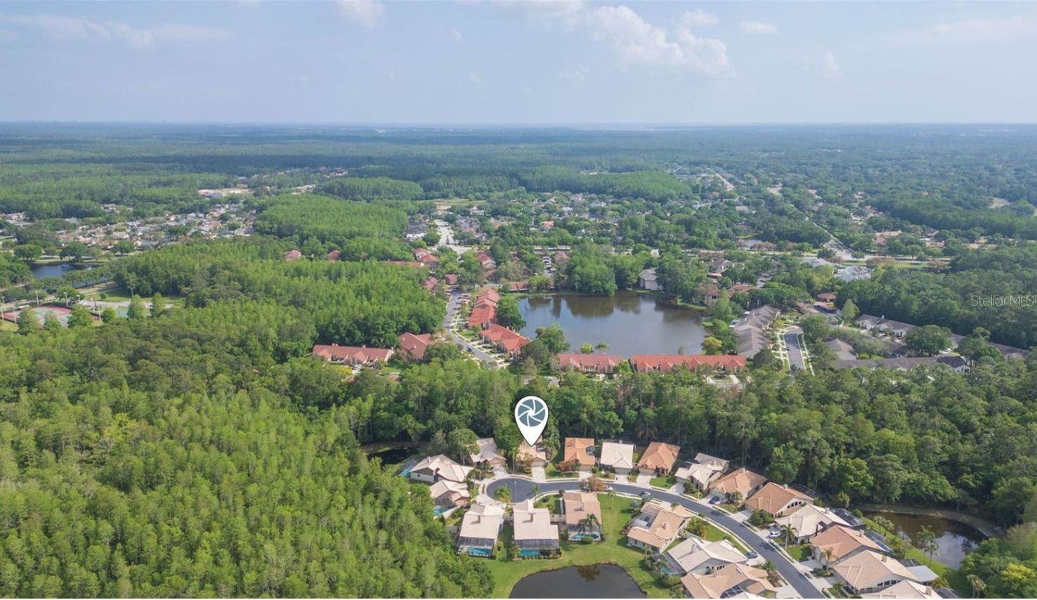 3612 DARSTON ST, PALM HARBOR, FL, 34685