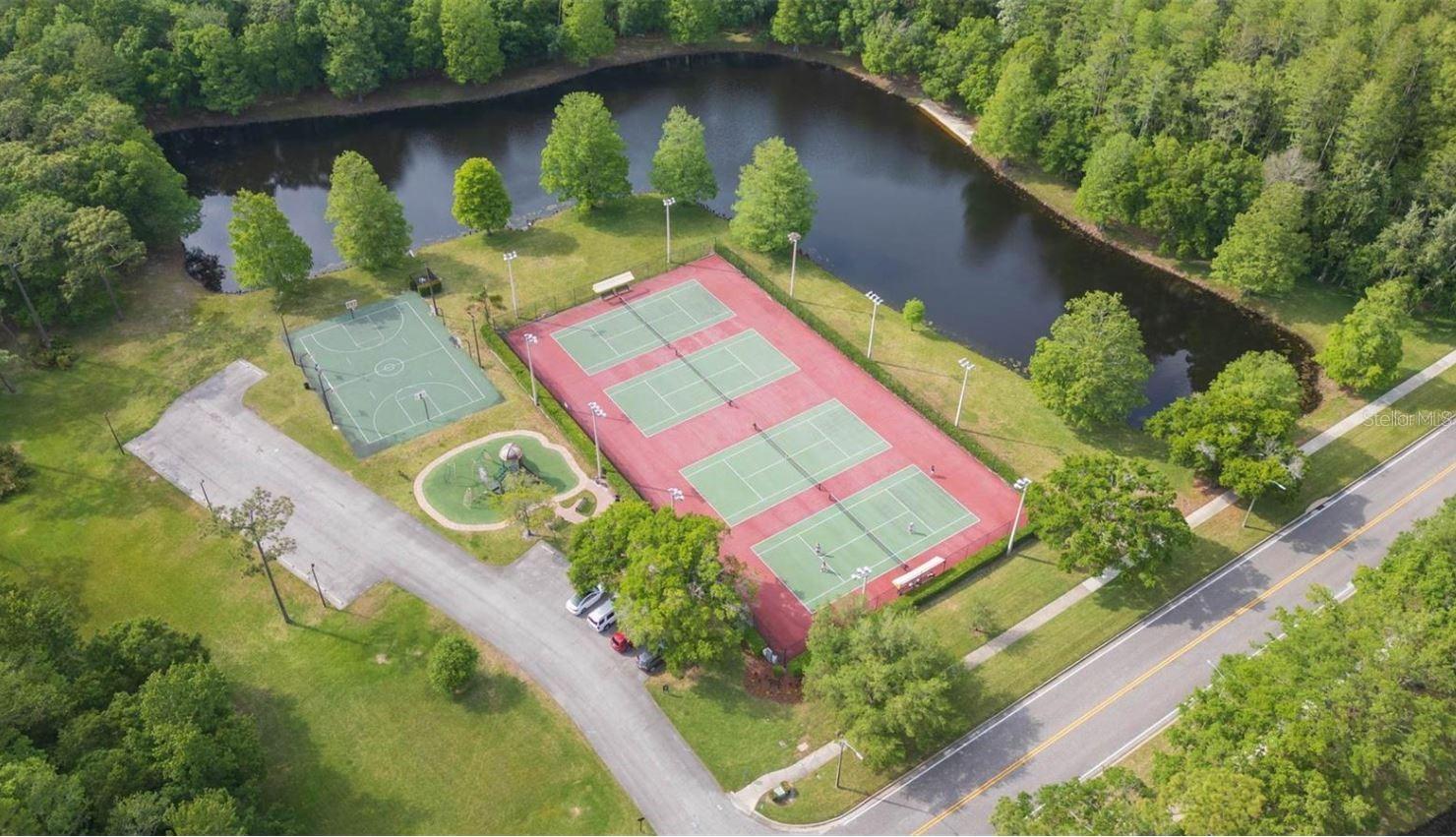 3612 DARSTON ST, PALM HARBOR, FL, 34685