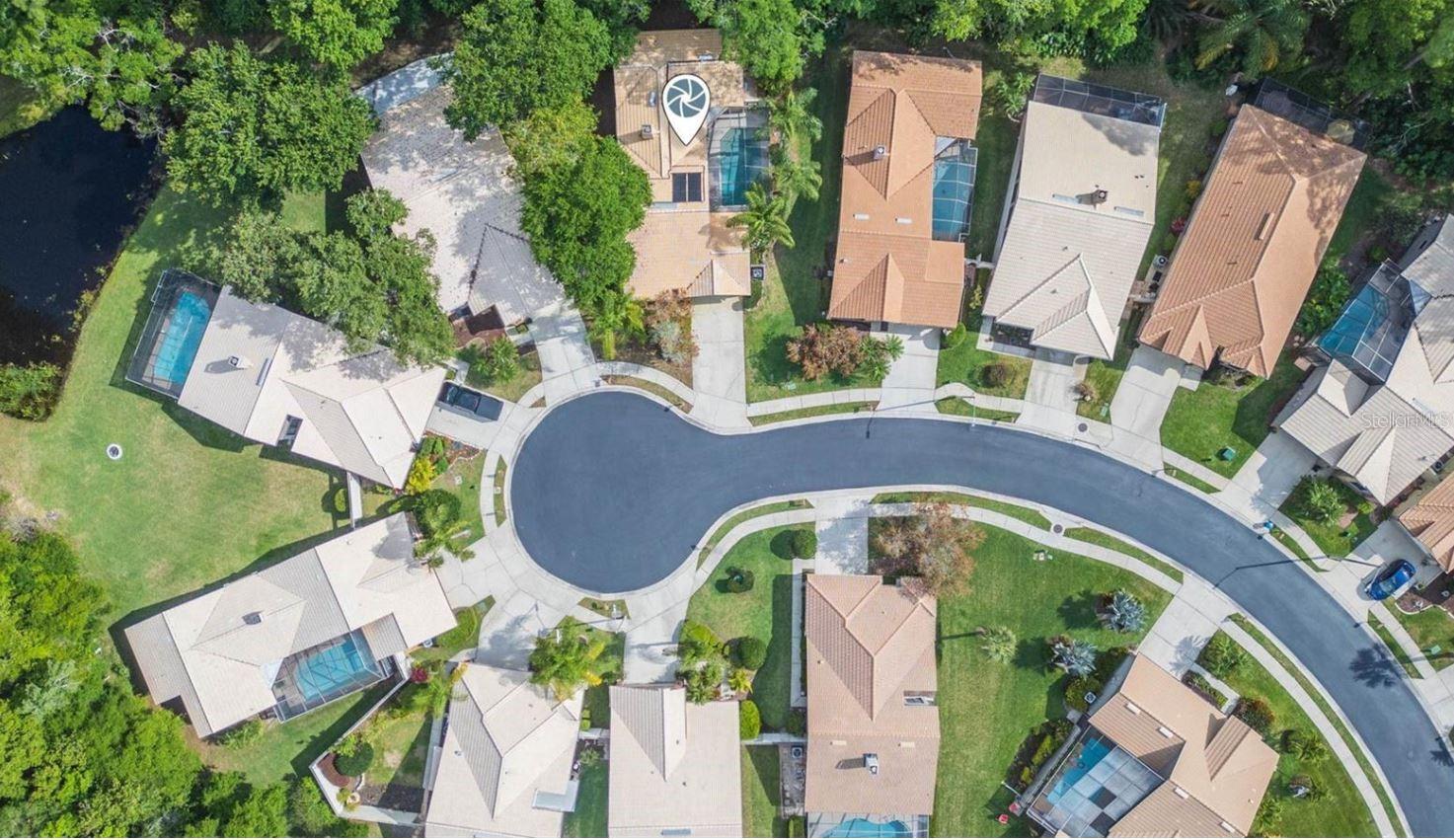 3612 DARSTON ST, PALM HARBOR, FL, 34685