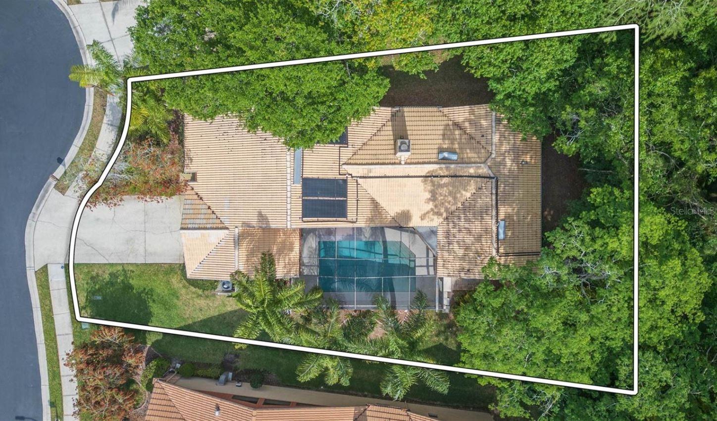 3612 DARSTON ST, PALM HARBOR, FL, 34685