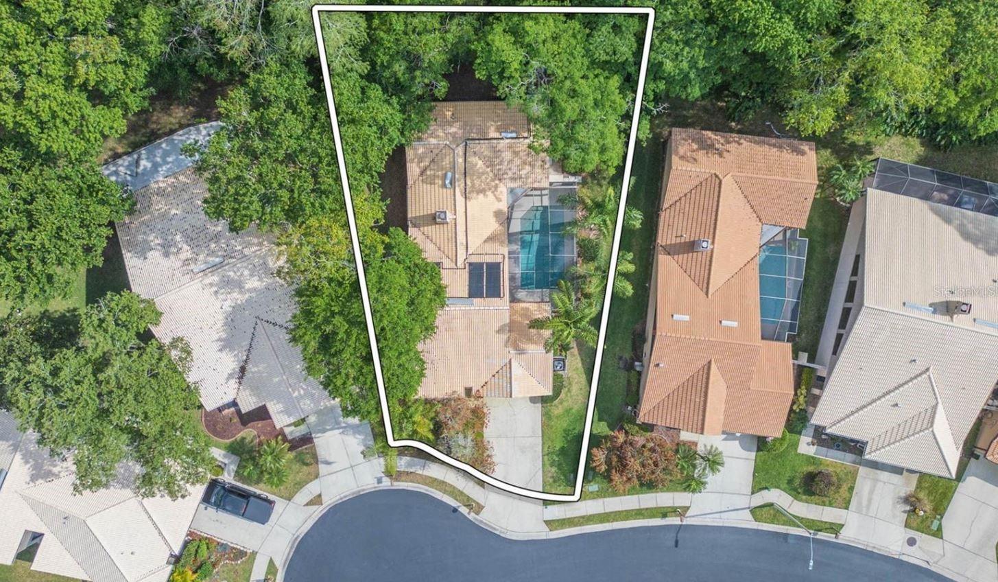 3612 DARSTON ST, PALM HARBOR, FL, 34685