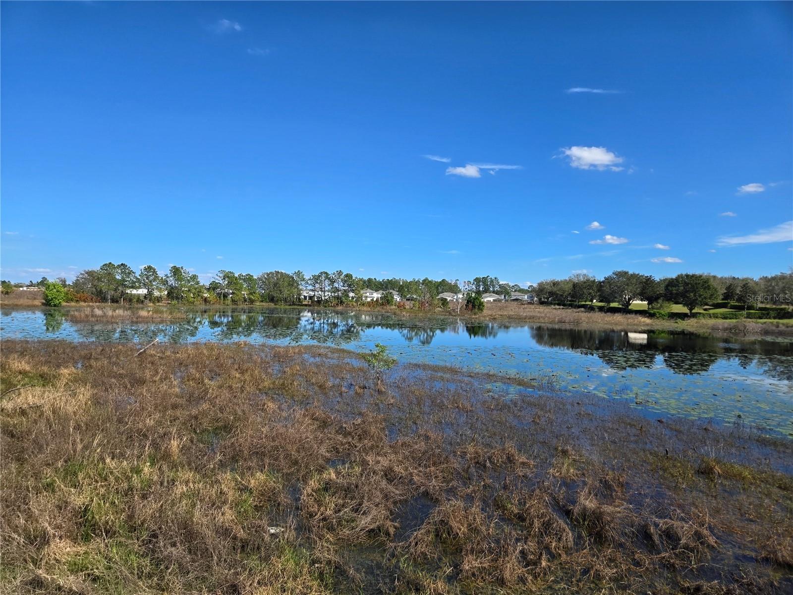 13217 TOLLCROSS WAY, WINTER GARDEN, FL, 34787