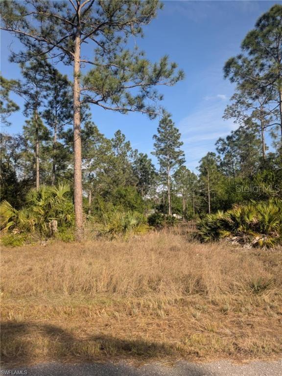 1412 CLAYTON AVE, LEHIGH ACRES, FL, 33972