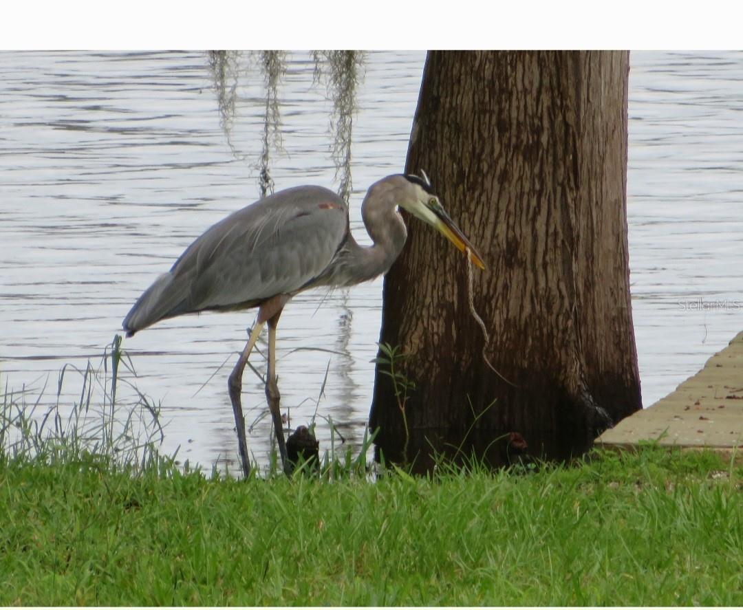 1189 COUNTY ROAD 309, CRESCENT CITY, FL, 32112