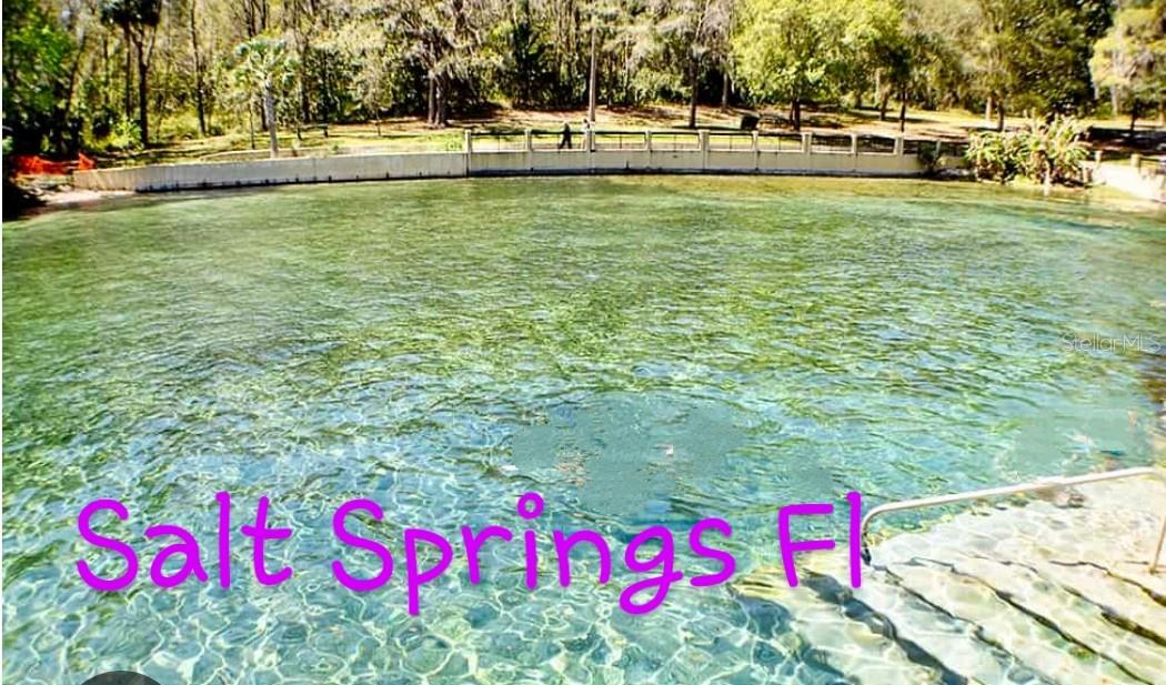 1189 COUNTY ROAD 309, CRESCENT CITY, FL, 32112