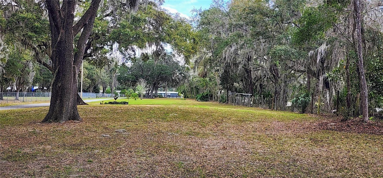 1189 COUNTY ROAD 309, CRESCENT CITY, FL, 32112