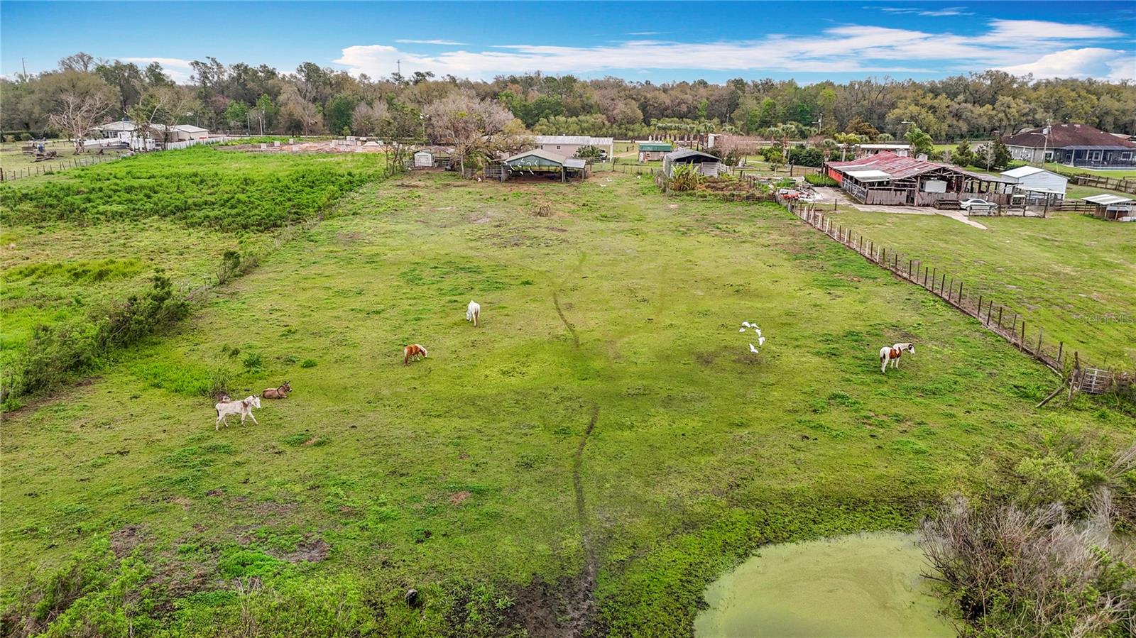 14220 OCONNER RD, KATHLEEN, FL, 33849