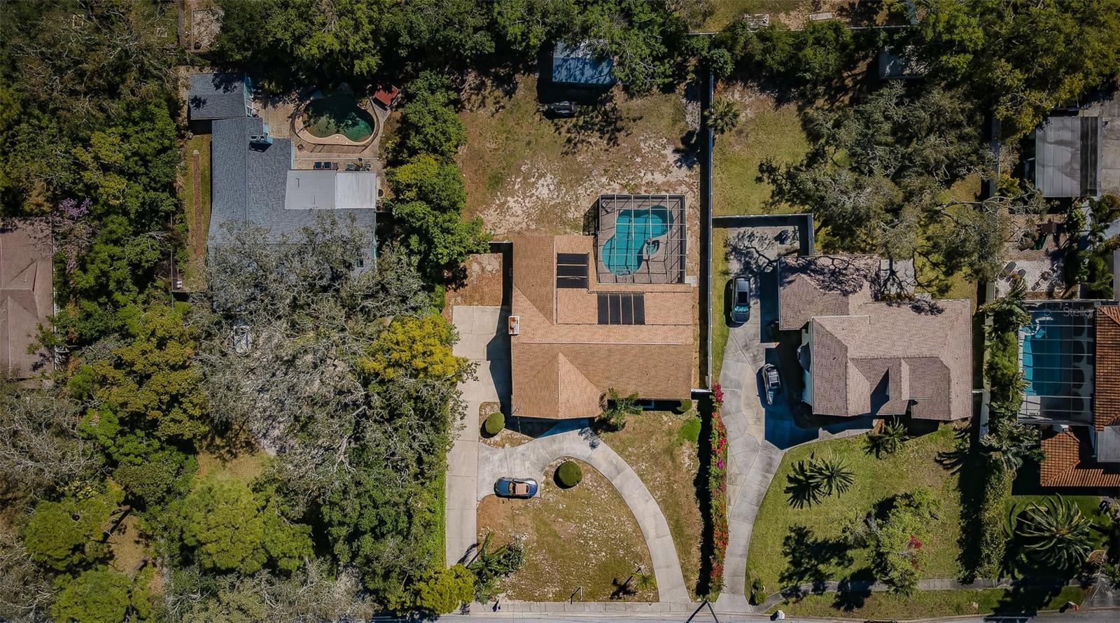 1113 CARLTON RD, TARPON SPRINGS, FL, 34689