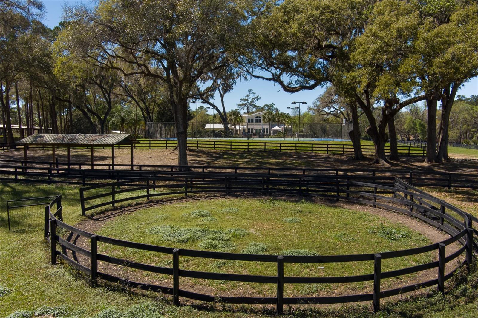 OM696206 Property Photo