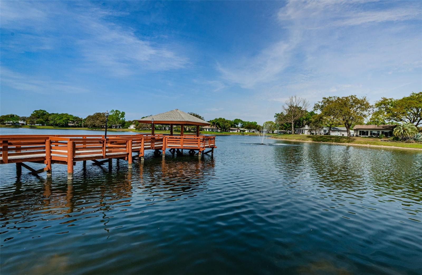 8110 BISMARK CT, PORT RICHEY, FL, 34668