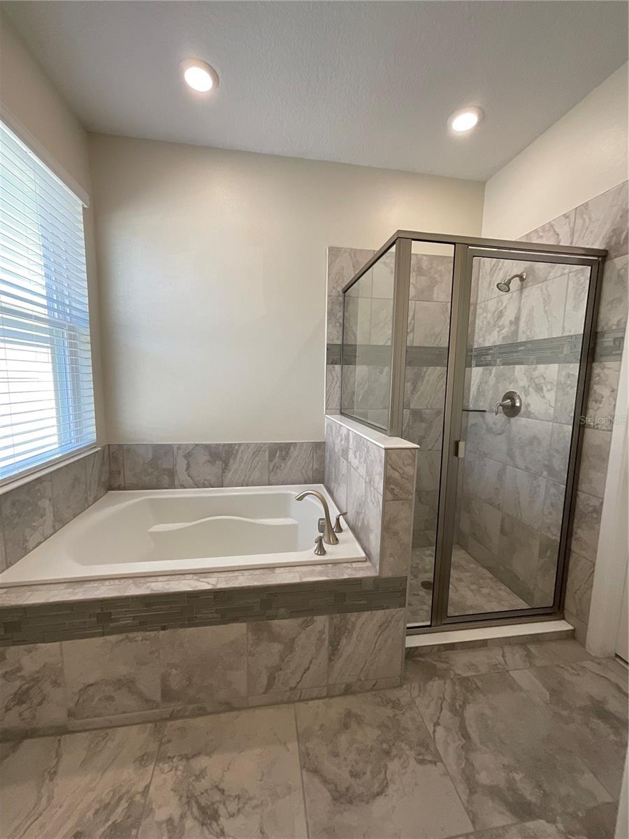 1843 BLACK MAPLE PL, OCOEE, FL, 34761