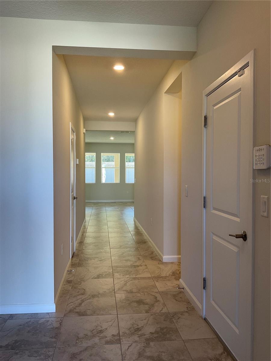 1843 BLACK MAPLE PL, OCOEE, FL, 34761