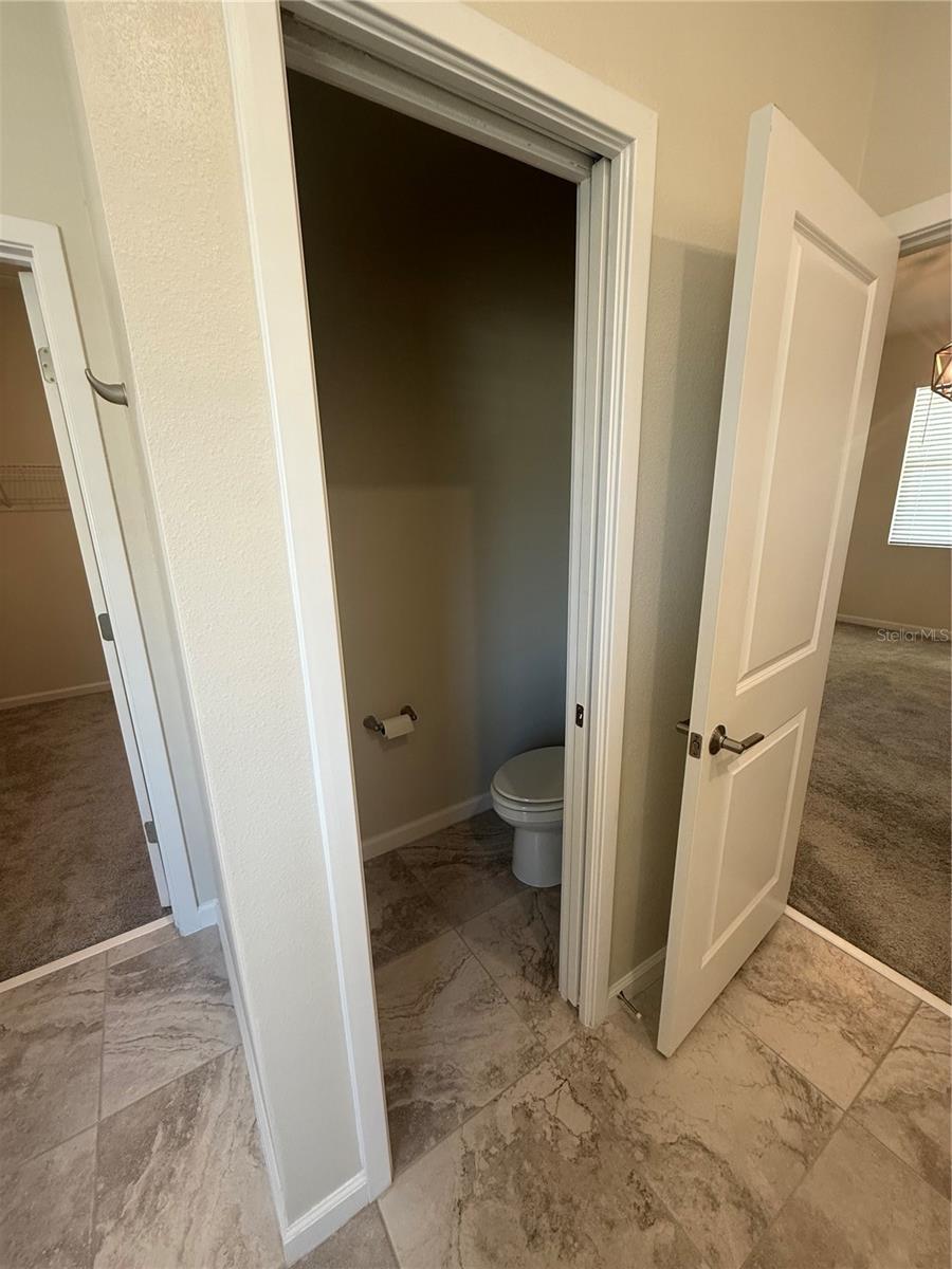1843 BLACK MAPLE PL, OCOEE, FL, 34761